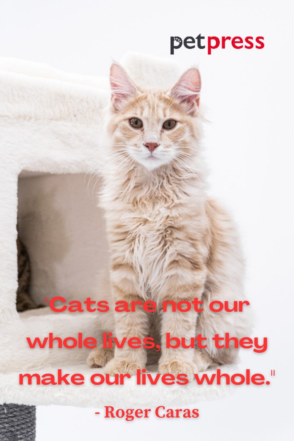 The Gifts of Companionship Quote