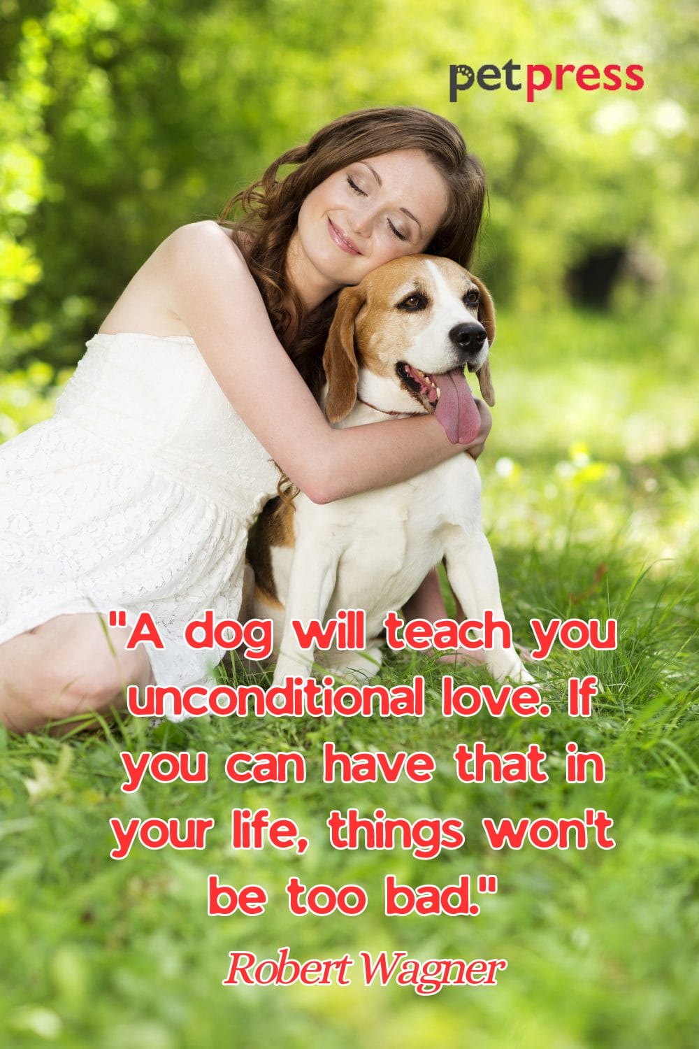 50+ Best Dog Protection Quotes About Loyalty and Love PetPress