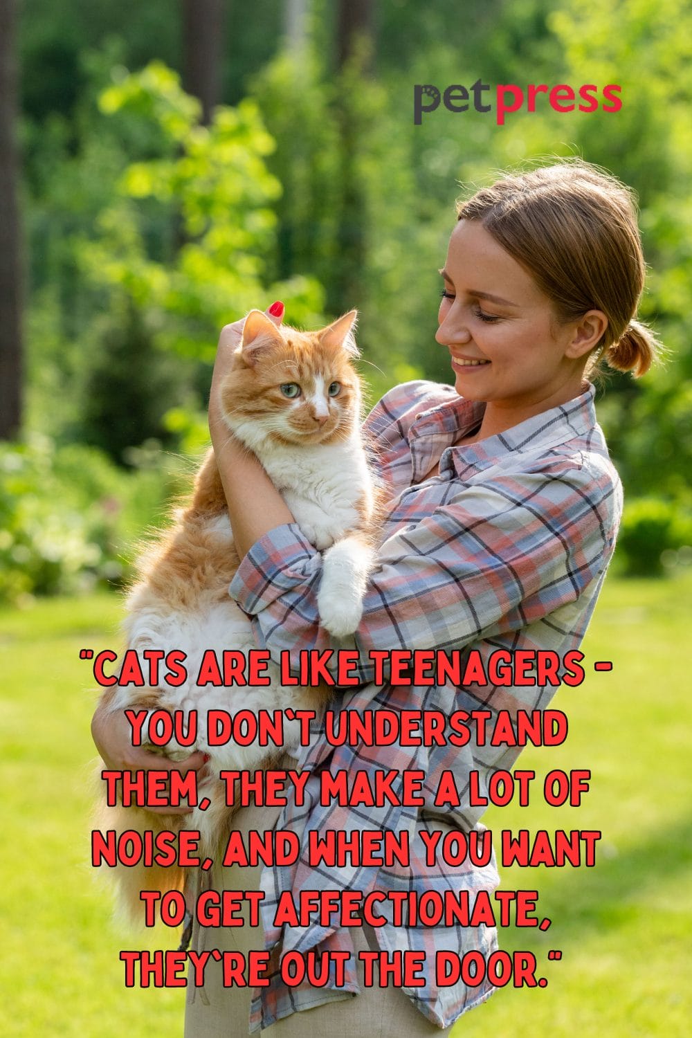Unleashing Purrfection 50+ Crazy Cat Lady Quotes to Inspire Your Day