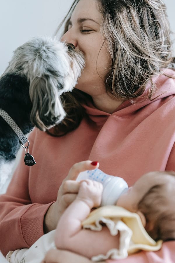 dog-licks-skin