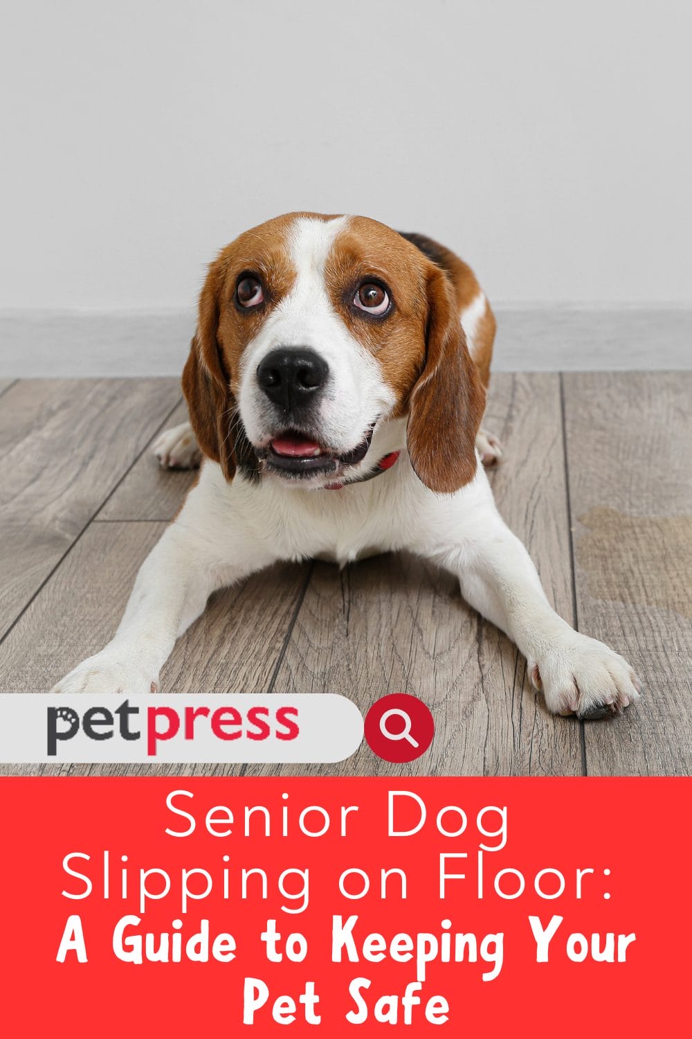 Senior Dog Slipping on Floor A Guide to Keeping Your Pet Safe