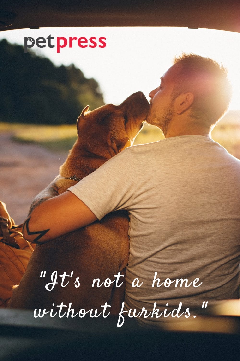 100+ Funny Dog Dad Quotes A Blend of Humor and Loyalty