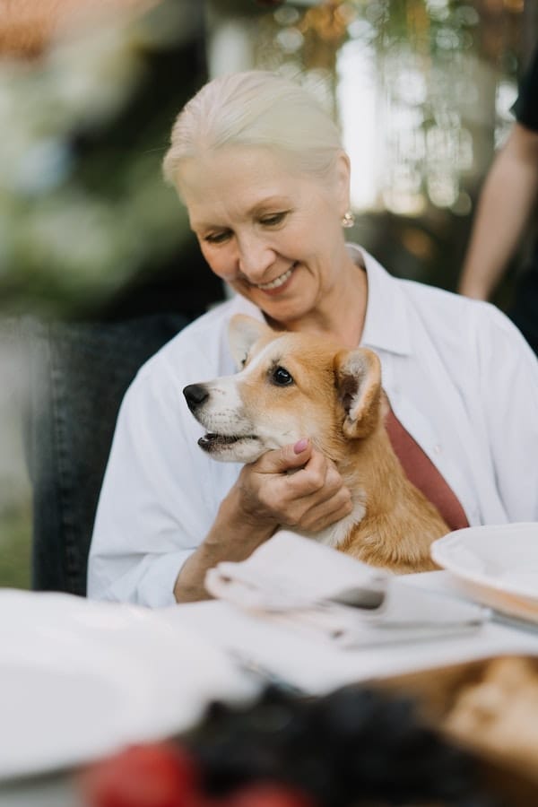 Perfect Canine Companion 7 Best Dog Breeds for Older Women