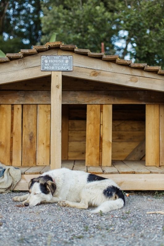 A Comprehensive Guide: Tips to Soundproof Dog House