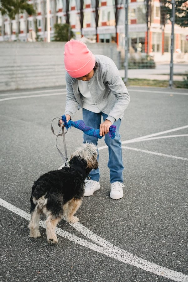 mental-exercises-for-dogs