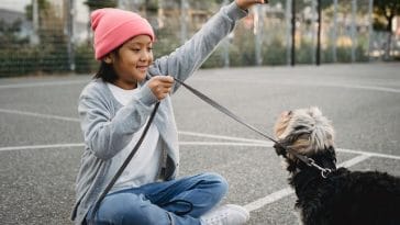 mental-exercises-for-dogs