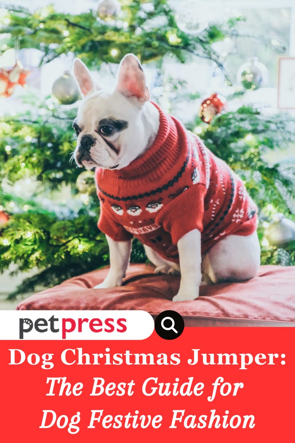 Dog Christmas Jumper The Best Guide for Dog Festive Fashion