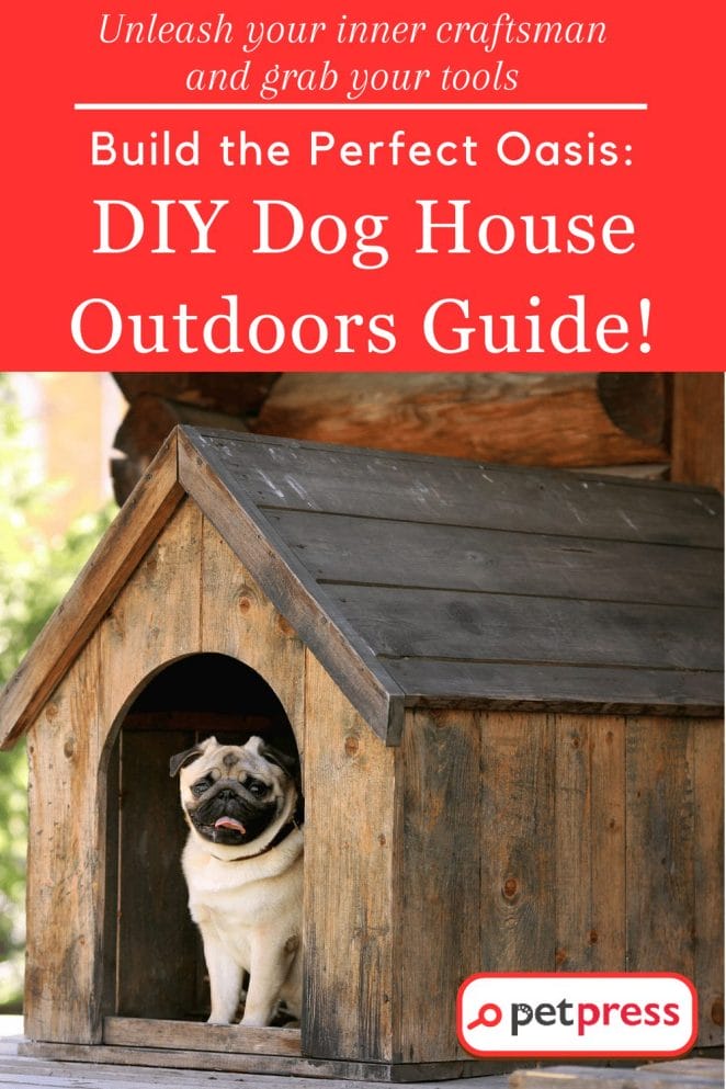 DIY Dog House Outdoors