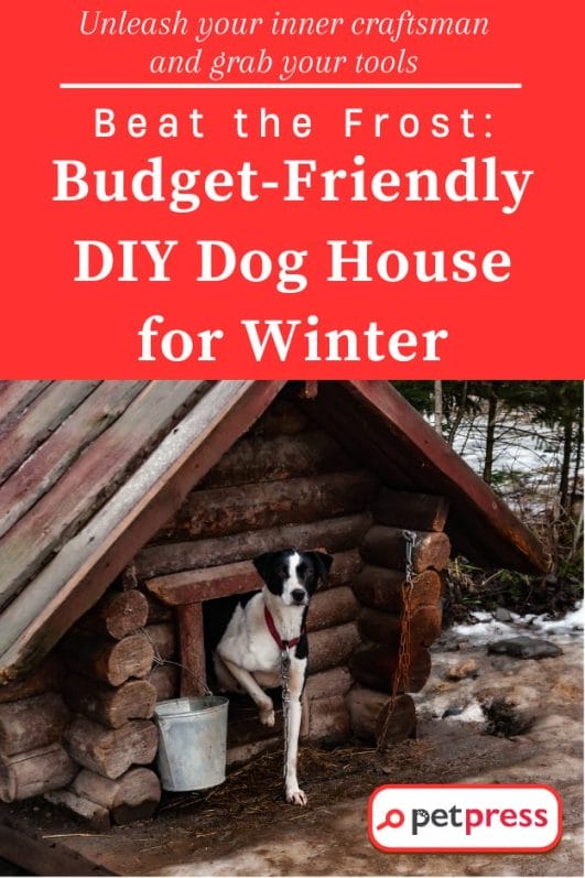 Beat the Frost BudgetFriendly DIY Dog House for Winter PetPress