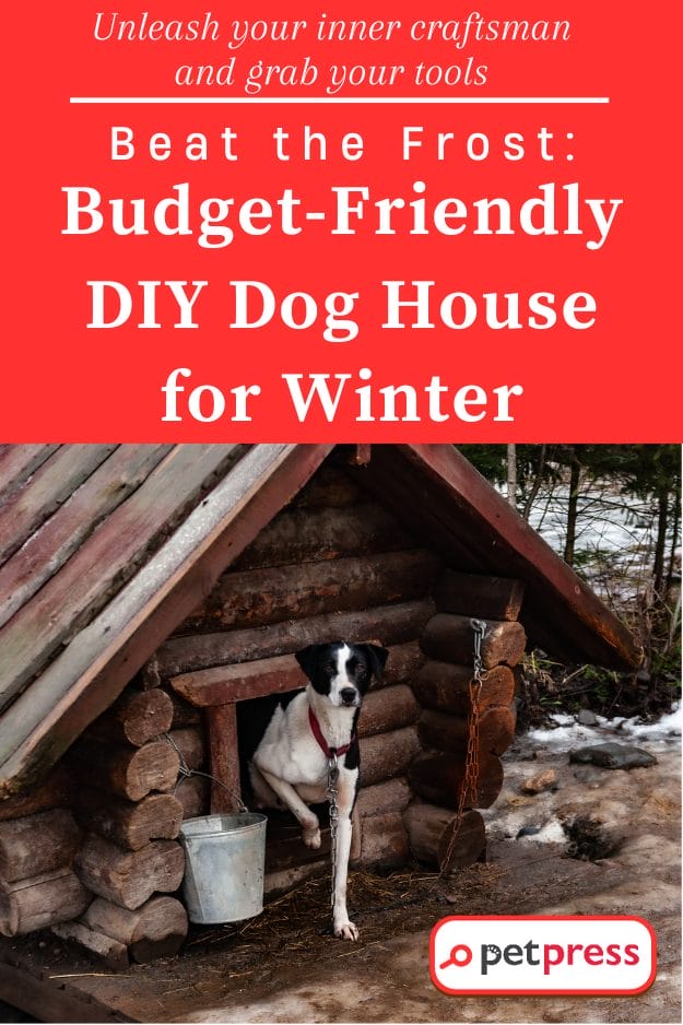 DIY Dog House for Winter