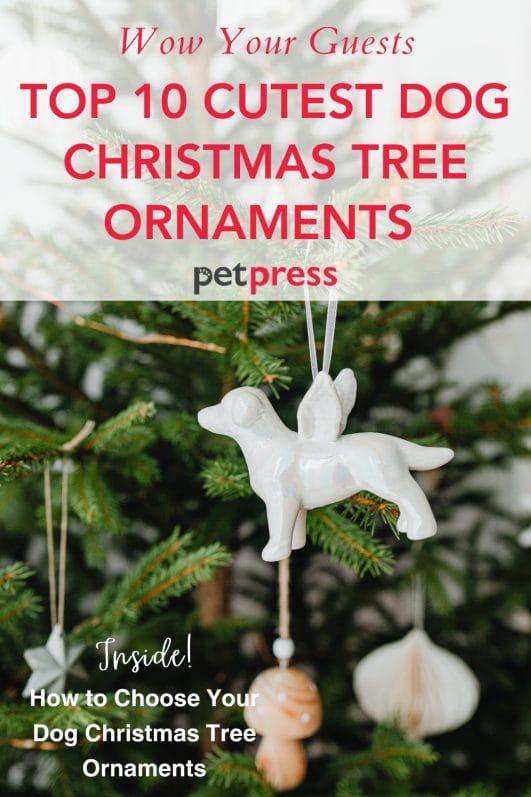 Top 10 Cutest Dog Christmas Tree Ornaments to Wow Your Guests