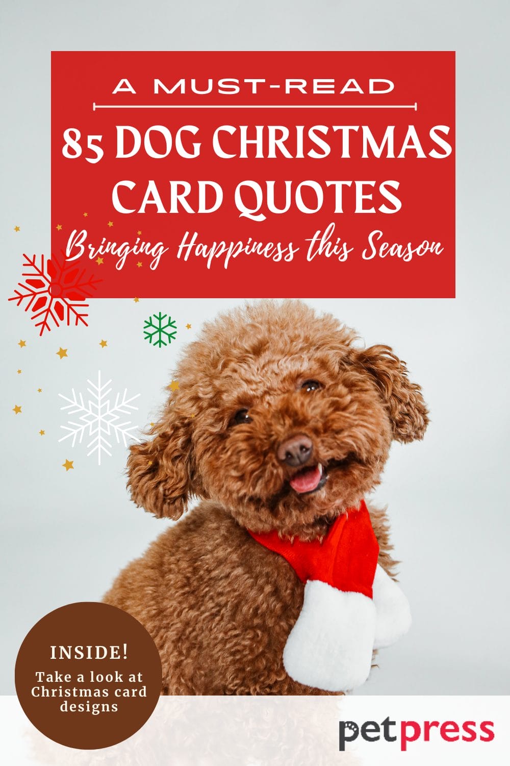 85 Dog Christmas Card Quotes