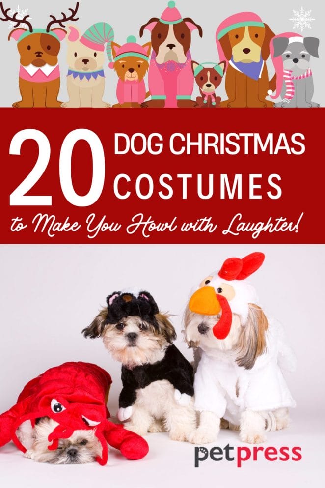 1 dog christmas costume