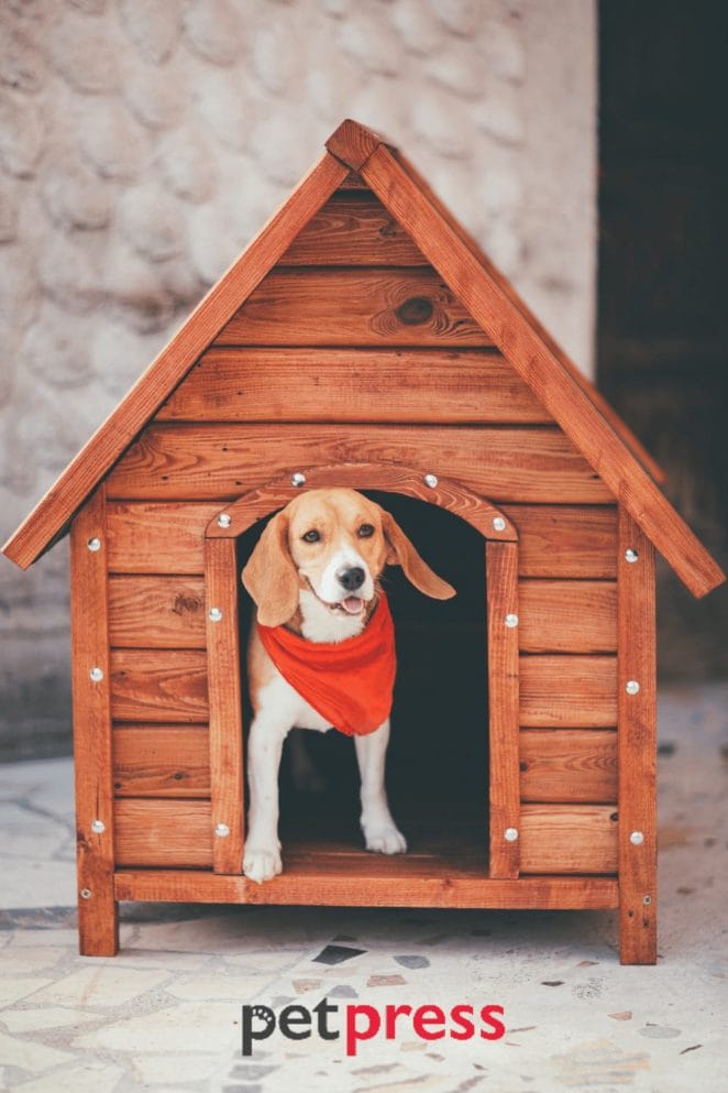 Choosing the Right Materials for Your DIY Winter Dog House
Share insights on the best materials for building a dog house that can withstand the winter weather. Discuss the pros and cons of different materials, taking into account budget, durability, insulation, and your pet’s comfort. (Approximately 300 words)