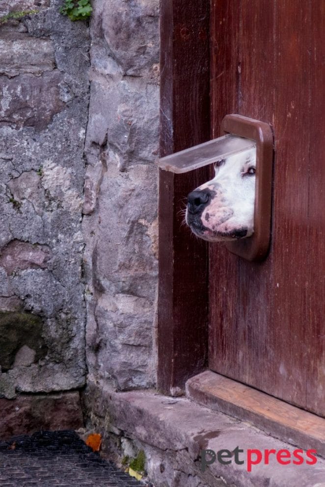 diy dog house door flap