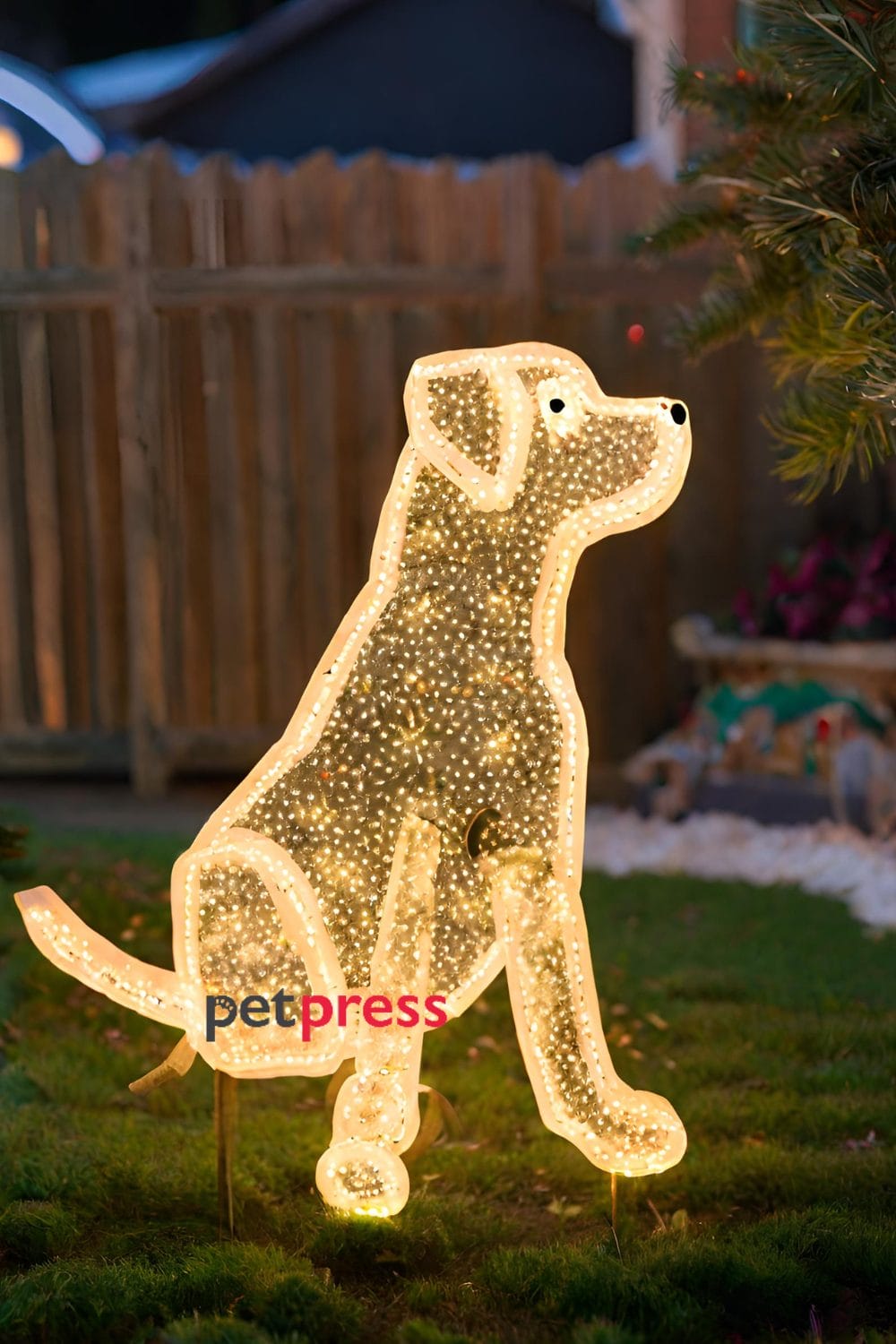 dog christmas outdoor decorations