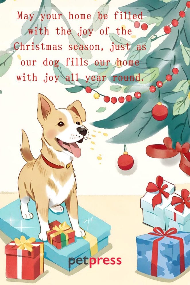 85 Dog Christmas Card Quotes: Bringing Happiness This Season