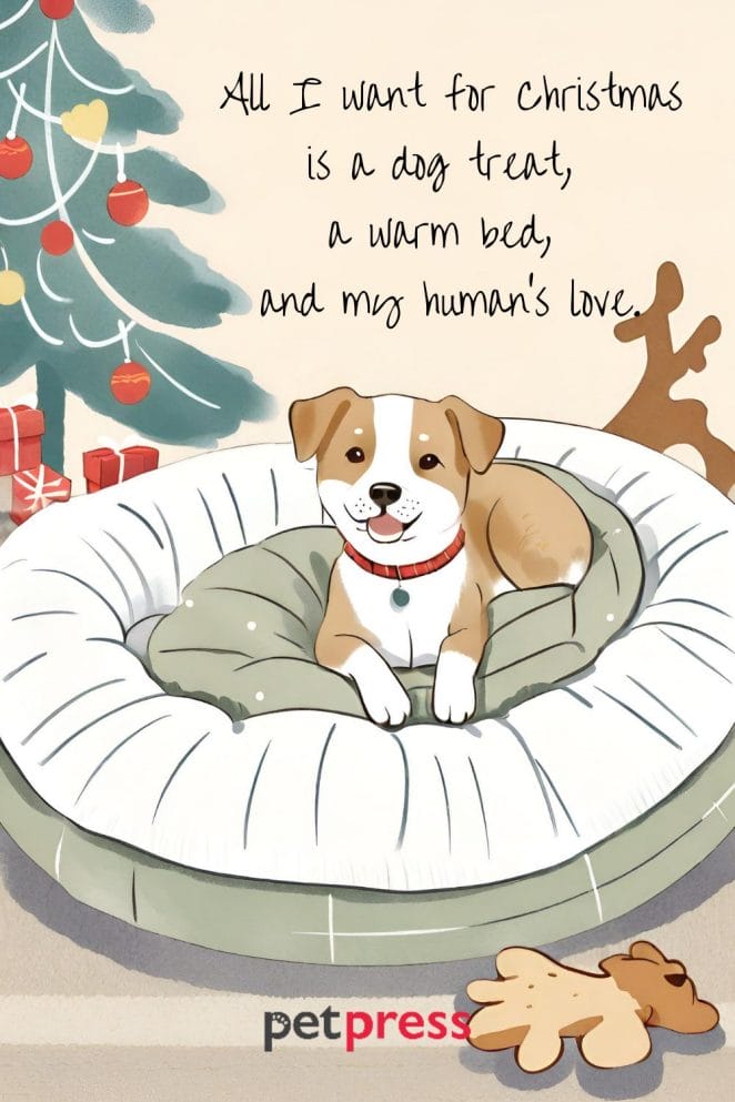 85 Dog Christmas Card Quotes: Bringing Happiness This Season