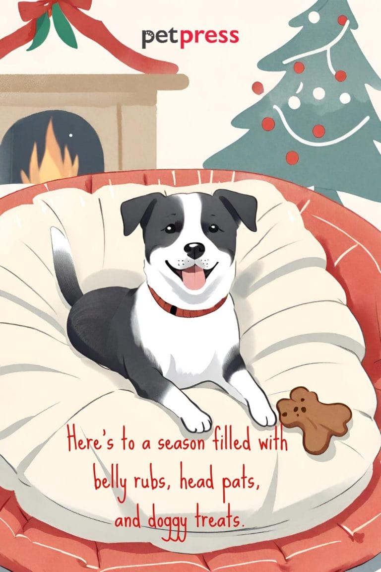 85 Dog Christmas Card Quotes Bringing Happiness This Season