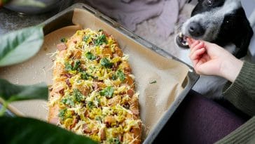 Dog Christmas Recipes