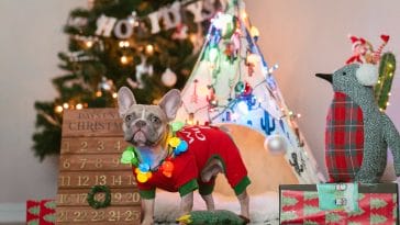 Dog Christmas ornaments