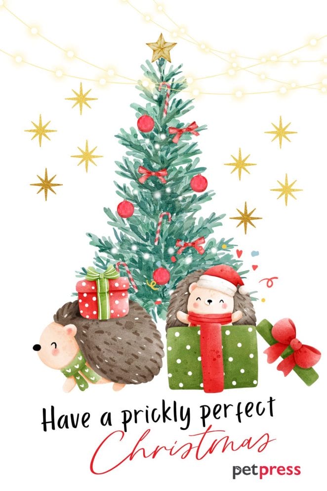 animal christmas card quotes 