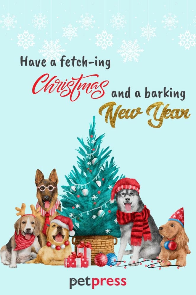 animal christmas card quotes