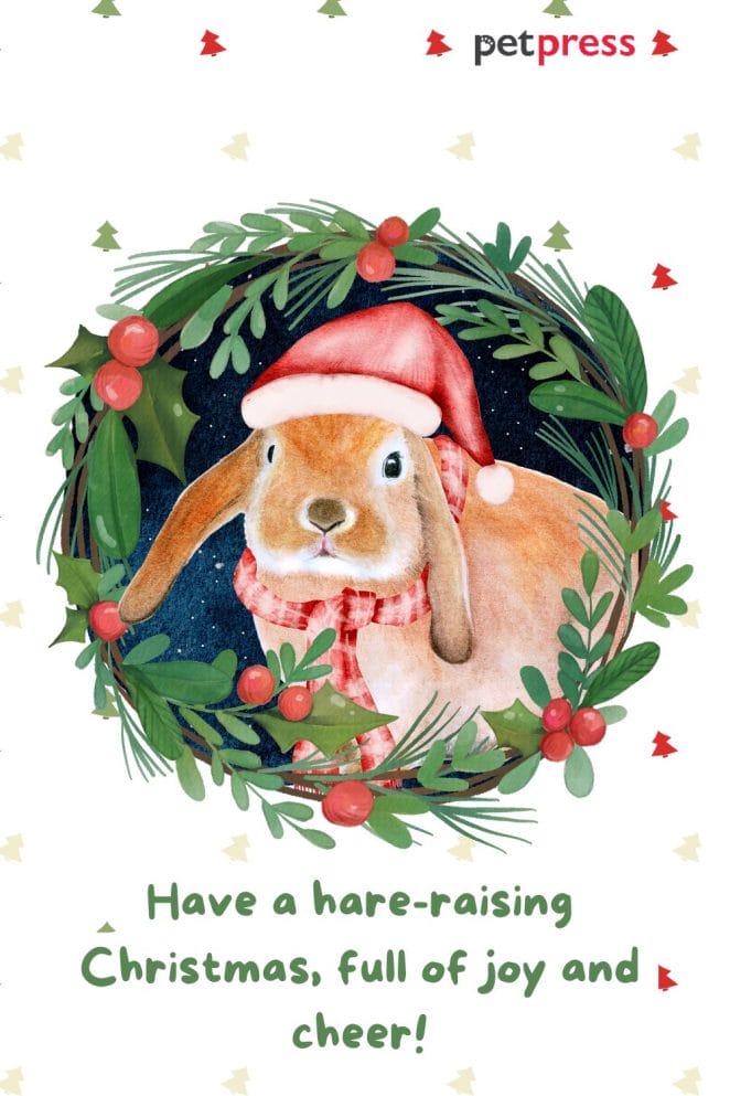 animal christmas card quotes