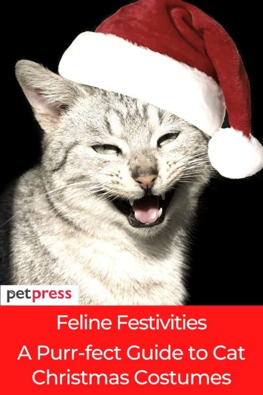 Feline Festivities A Purrfect Guide to Cat Christmas Costumes