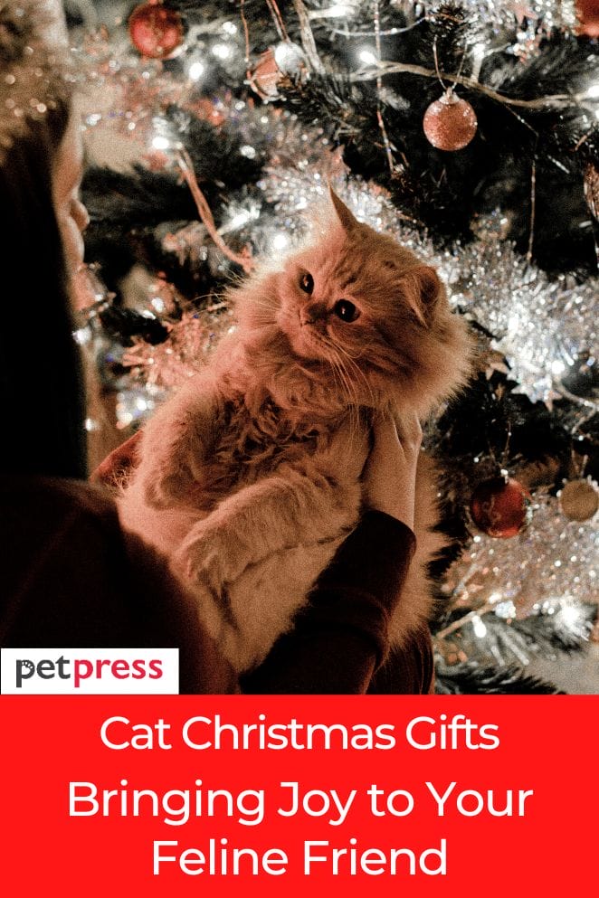 Purrfect Cat Christmas Gifts Bringing Joy to Your Feline Friend
