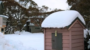 diy dog house for winter