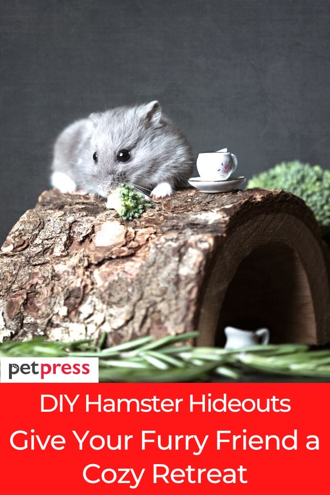 diy hamster hideouts