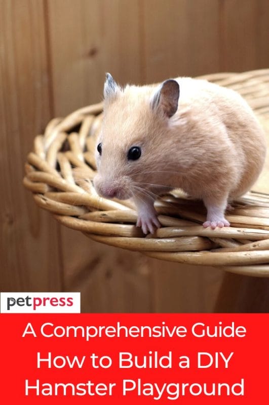 A Comprehensive Guide: How to Build a DIY Hamster Playground