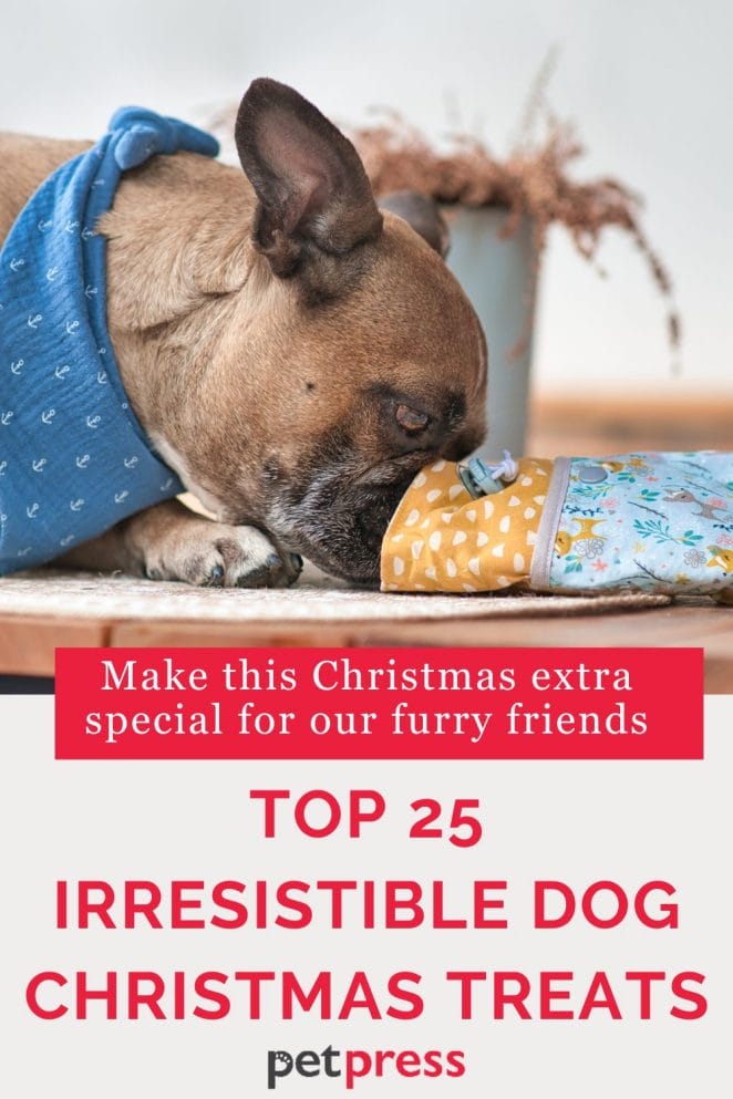 dog christmas treats