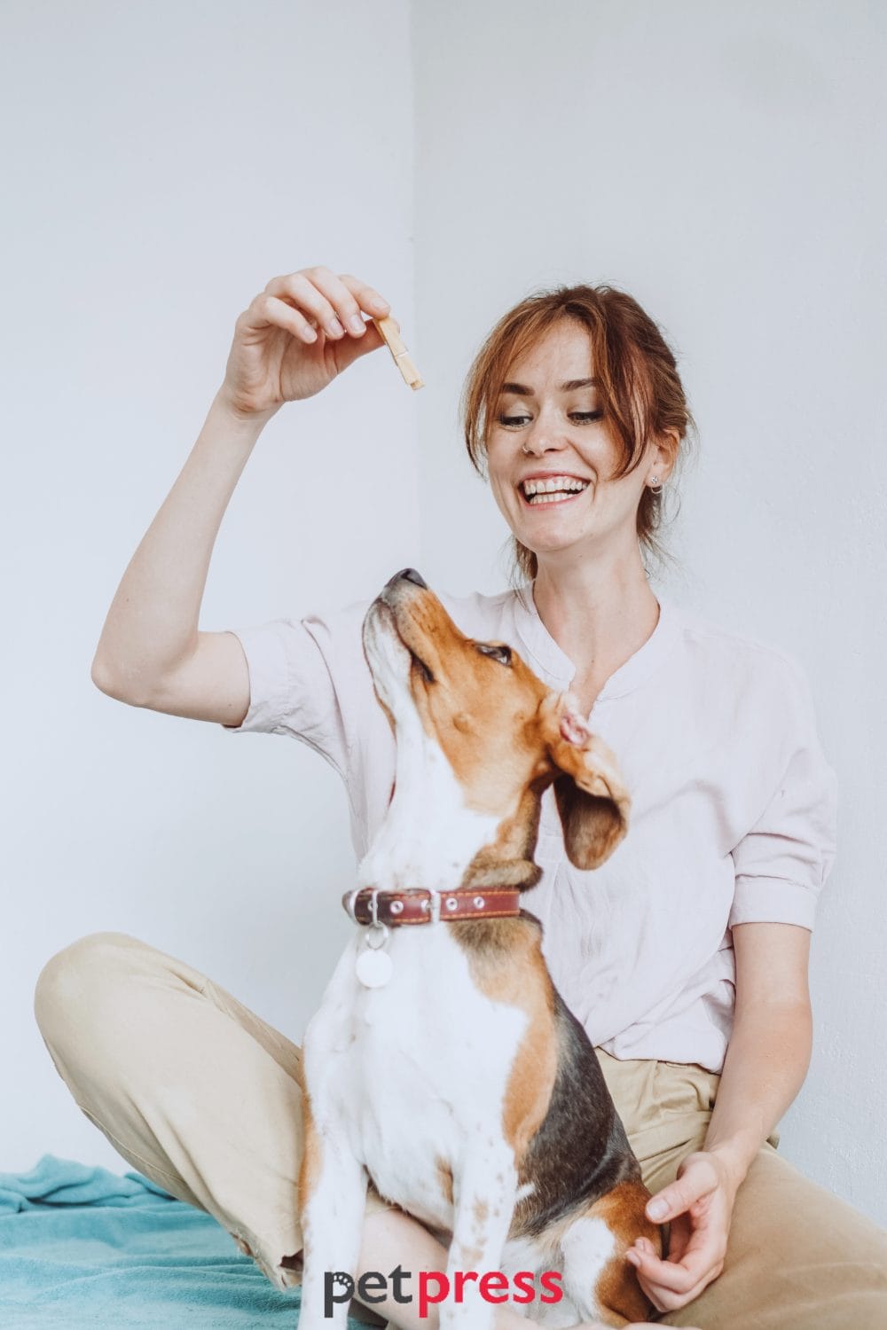 dog christmas treats