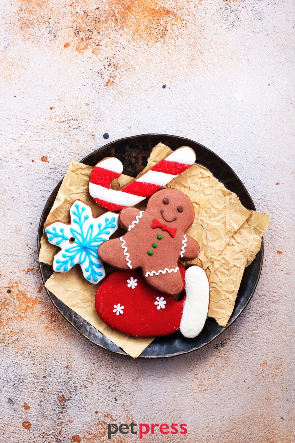 dog christmas treats