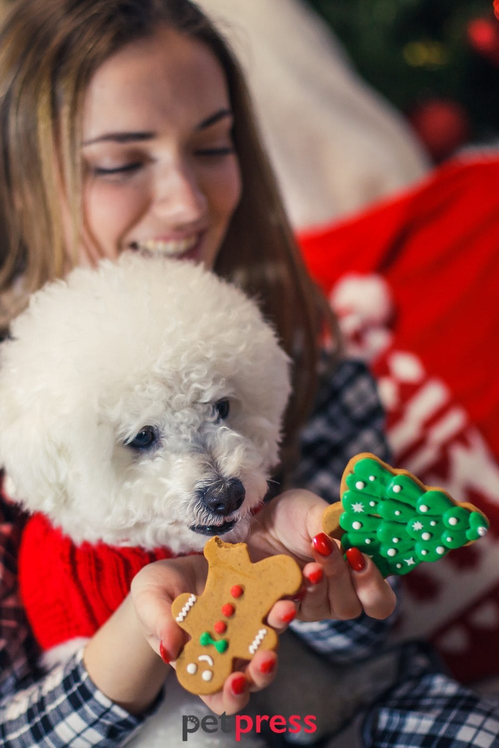 dog christmas treats