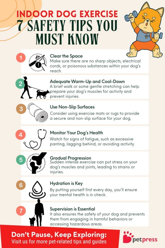 indoor dog exercise safety tips