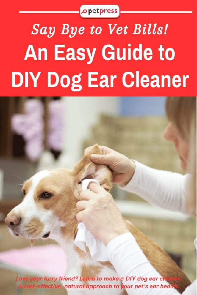 An Easy Guide to DIY Dog Ear Cleaner Say Bye to Vet Bills