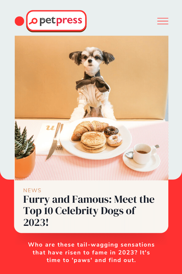 Celebrity Dogs of 2023