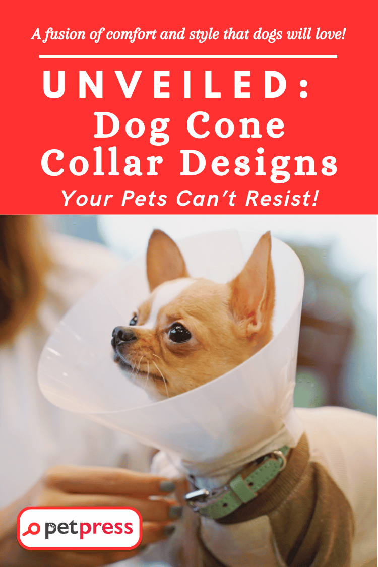 Unveiled DIY Dog Cone Collar Designs Your Pets Can’t Resist! PetPress