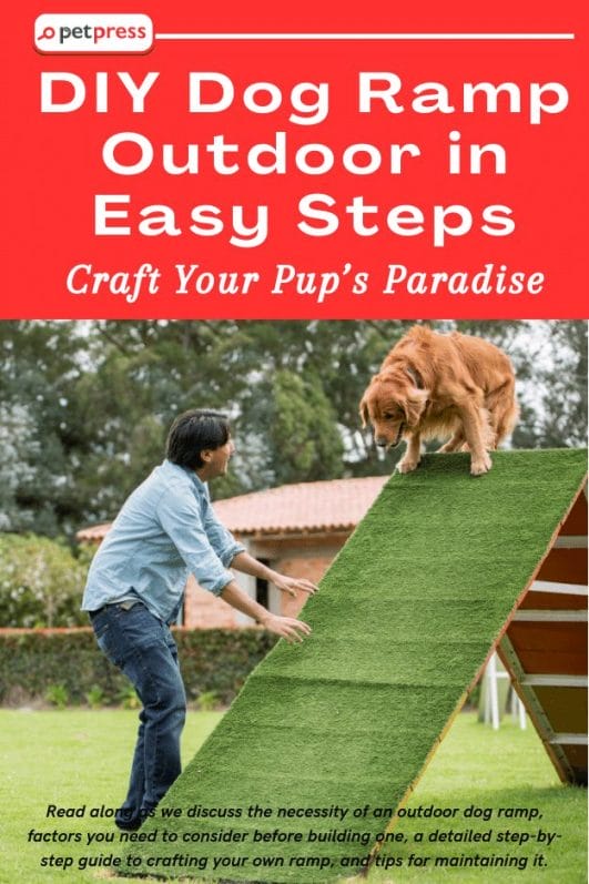 Craft Your Pup’s Paradise DIY Dog Ramp Outdoor in Easy Steps PetPress