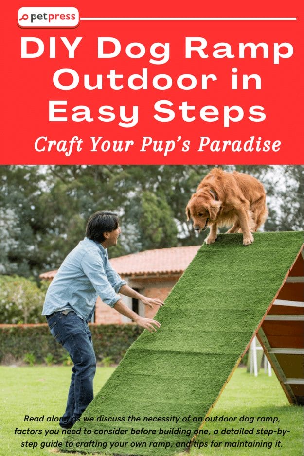 Craft Your Pup’s Paradise DIY Dog Ramp Outdoor in Easy Steps PetPress