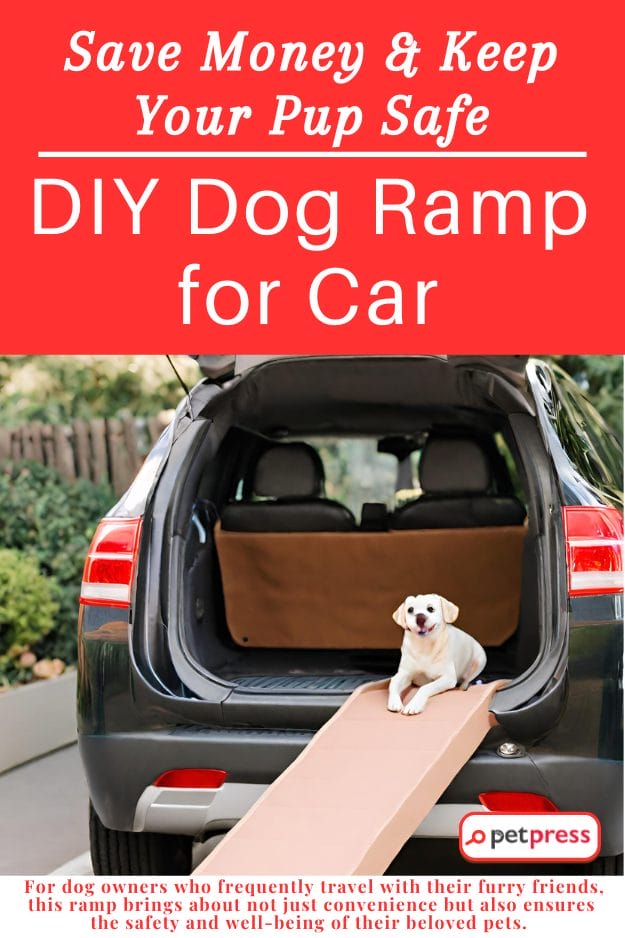 DIY Dog Ramp for Car