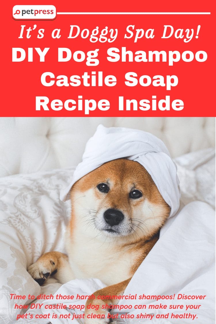 Castile soap shop safe for dogs