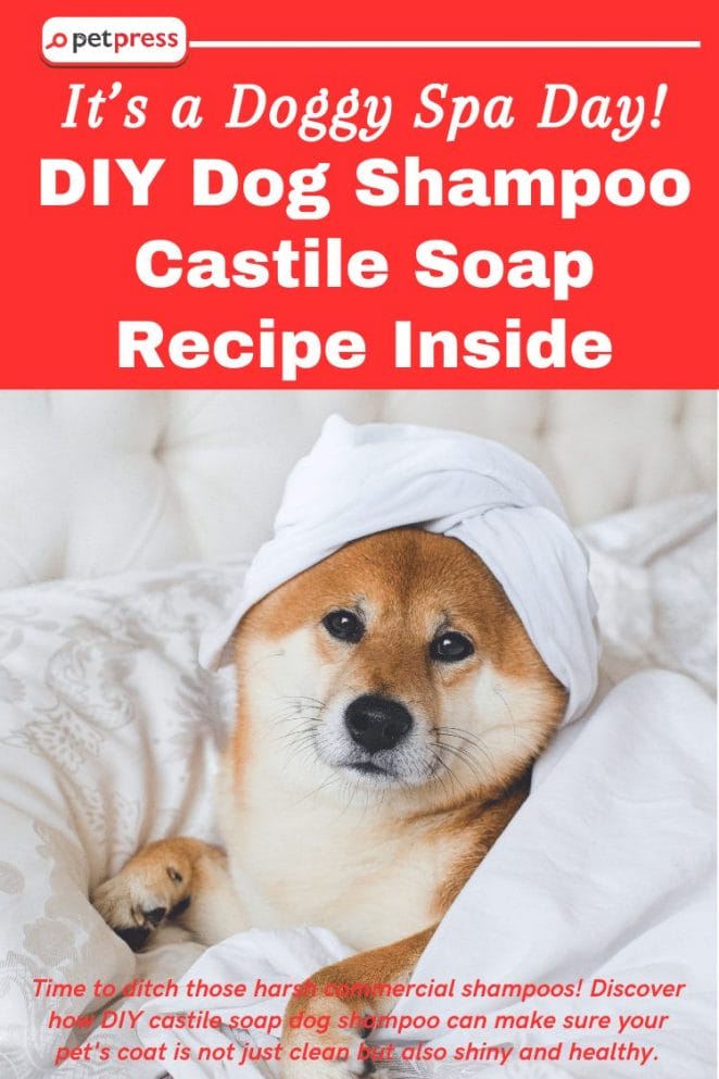 DIY Dog Shampoo Castile Soap