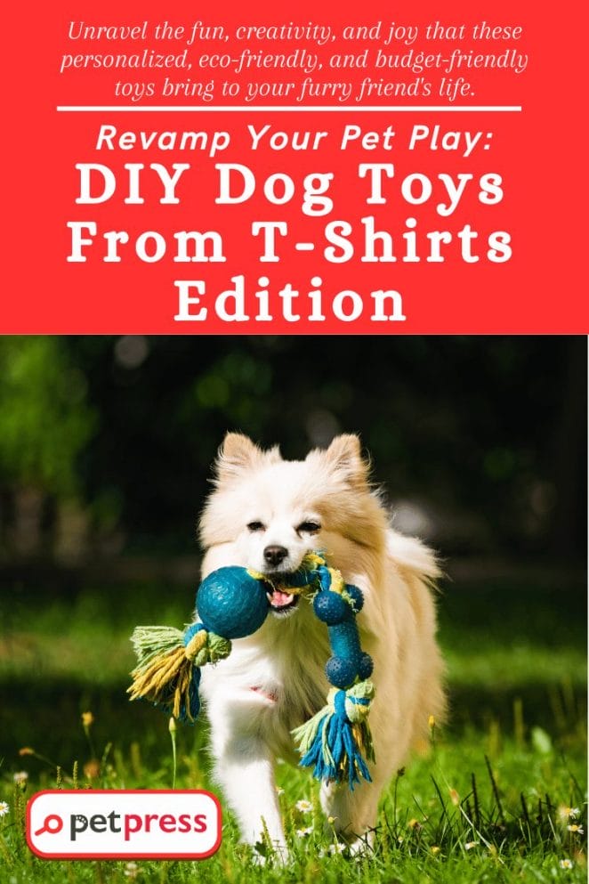 DIY Dog Toys From T-Shirt