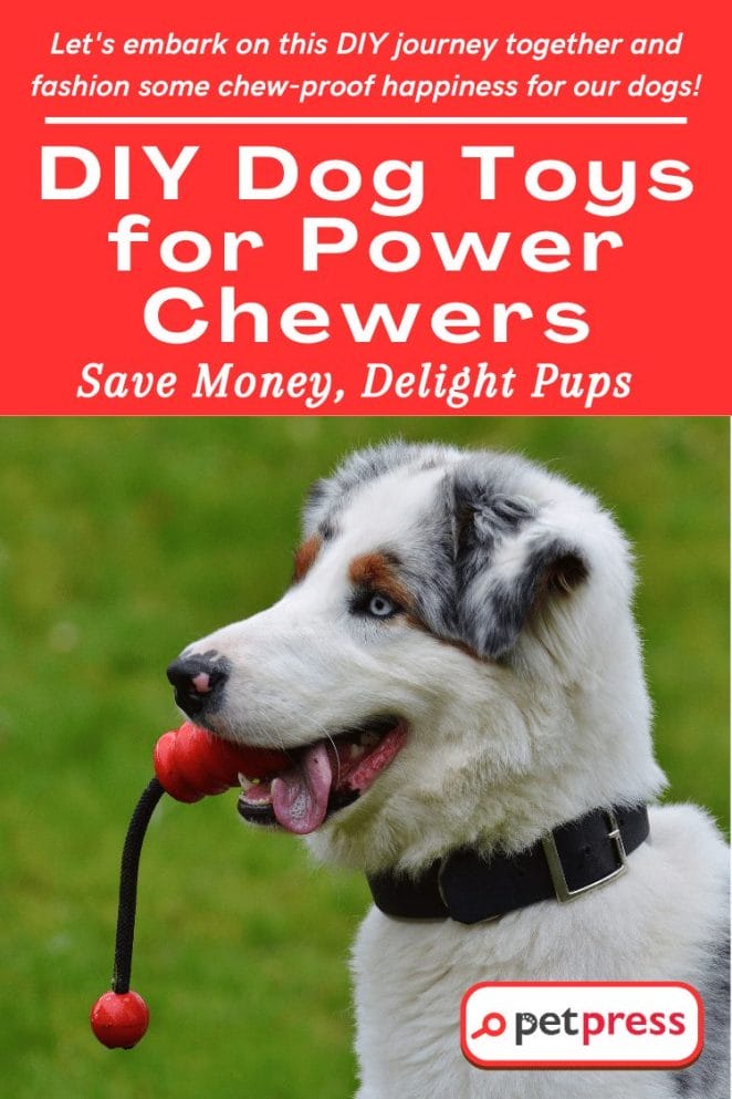 DIY Dog Toys for Power Chewers