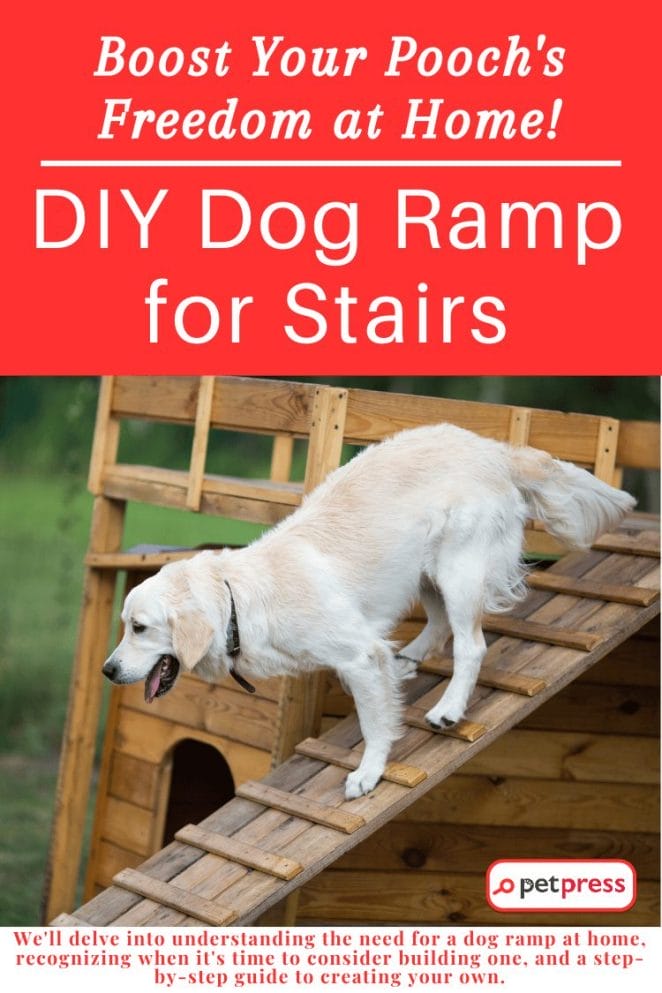 DIY dog ramp for stairs