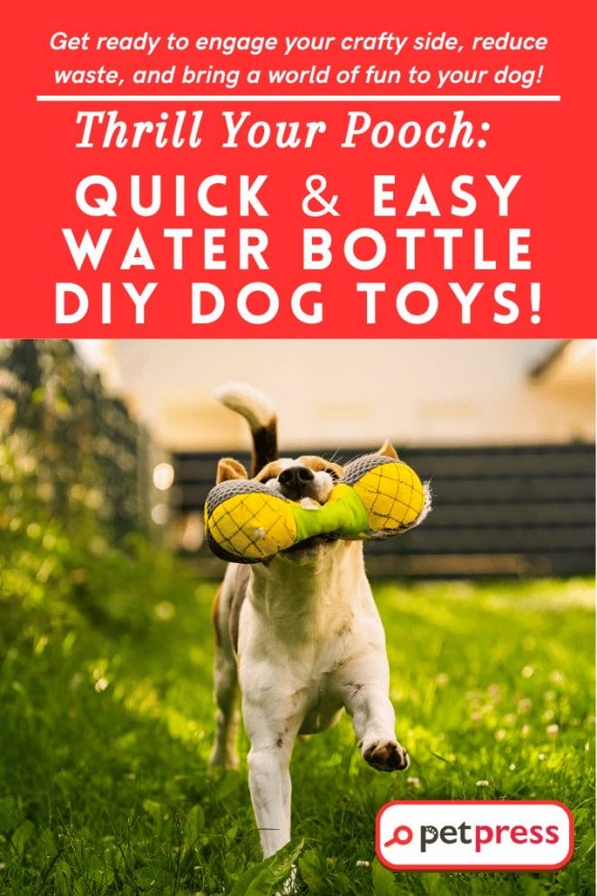 Water Bottle DIY Dog Toys